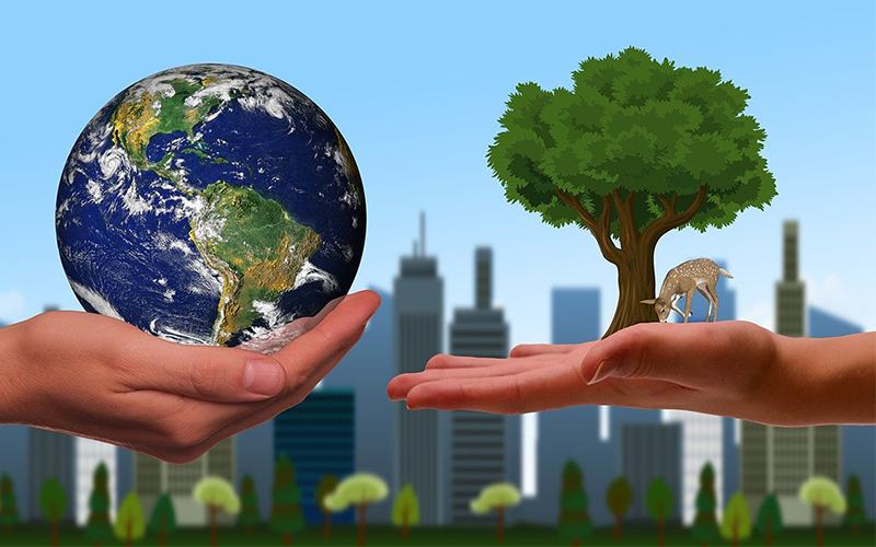 Protection de l'environnement - Une main tenant la terre dans son creux et une autre montrant un arbre et un animal